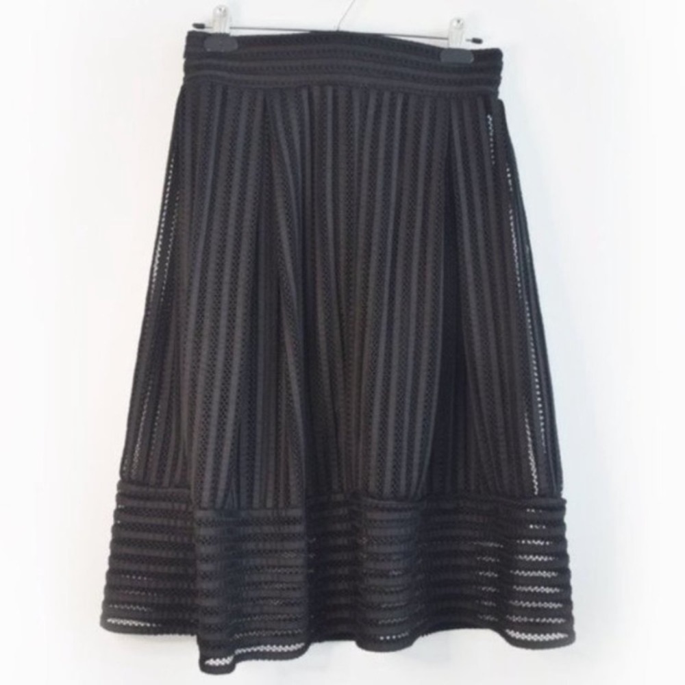 Black Layered Pleated Sheer Flared Mid-Length Skirt
